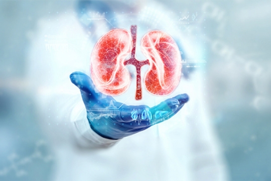 Urology Care garg surgicals